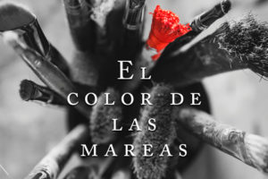 Mikel Alvira "El color de las mareas" presentación @ Ignacio Aldekoa Udal Liburutegia