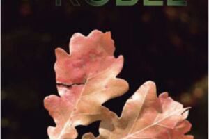Rubén Razquin "Hojas de roble" (Presentación del libro) @ elkar Comedias