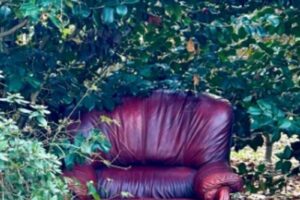 "En el sillon rojo" Iñaki Zuloaga @ Elkar San Prudencio