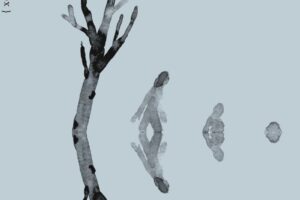 "Tragaluz" Olga Serrano @ Elkar Fermin Calbeton